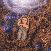 Nativity Of Baby Jesus Christ Nipa Hut  GIF