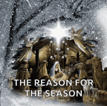 Nativity Of Jesus Christ Reason For Season  GIF