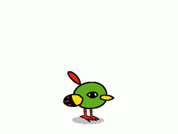 Natu Pokemon Evolution GIF