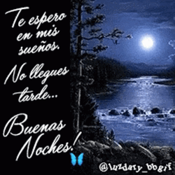 Nature And Moon Feliz Noche GIF
