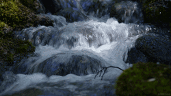 Nature Cascade Waterfalls