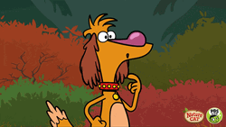 Nature Cat Raising Hand Pbs Kids GIF