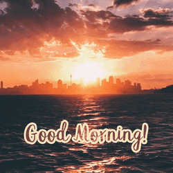 Nature Good Morning Dawn
