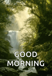 Nature Good Morning Forest Waterfalls