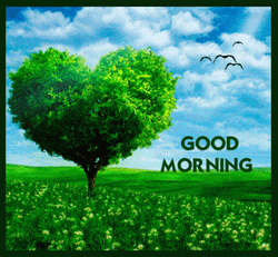Nature Good Morning Heart Tree GIF