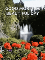 Nature Good Morning Red Flowers GIF