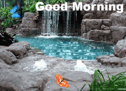 Nature Good Morning Waterfalls GIF