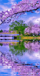 Nature's Lake In Purple Trees