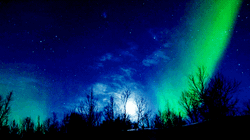 Nature's Northern Lights