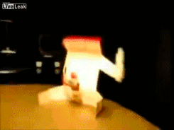 Naughty Cardboard Caught On Fire  GIF