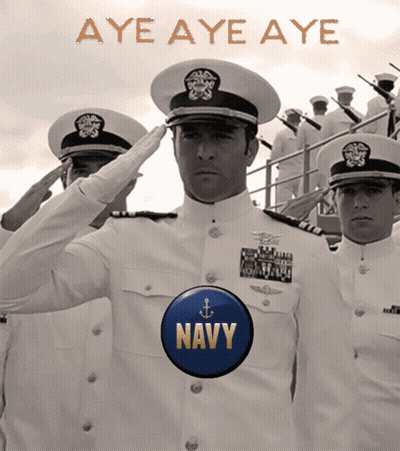 Navy Officers Saluting With Navy Button GIF