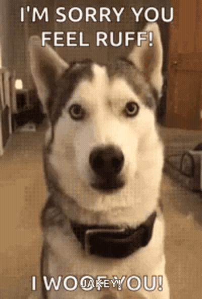 Navy Officers Saluting With Navy Button GIF