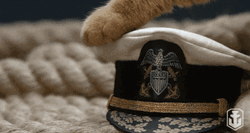 Navy Sailor's Cap Gentle Caress Kitty Paw GIF