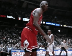 NBA Bulls Excited Michael Jordan GIF