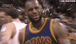 NBA Player Lebron James Disappointed Tf Reaction  GIF