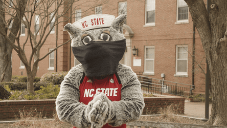 Nc State Mascot Clapping Pointing GIF