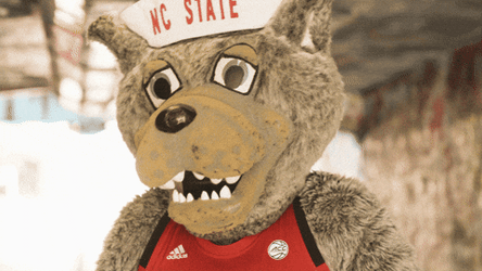 Nc State Mascot Dancing GIF