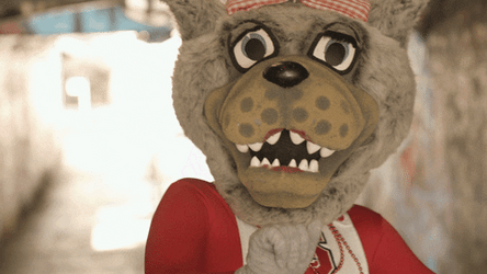Nc State Mascot Dancing Both Hands Up GIF