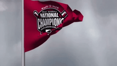 NCAA Baseball National Champions Flag Waving GIF