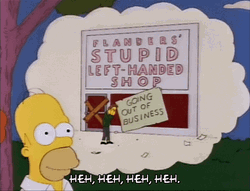 Ned Flanders Stupid Left Handed Shop GIF