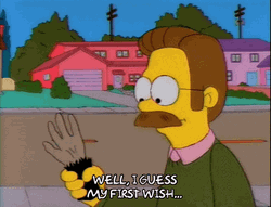 Ned Flanders Well I Guess My First Wish GIF