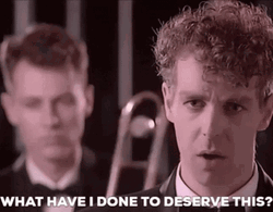 Neil Tennant What Have I Done GIF
