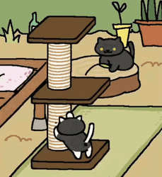 Neko Atsume Sock Playing & Scratching GIF