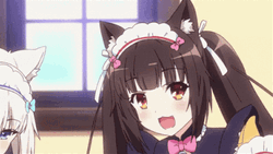 Neko Girl Gang GIF