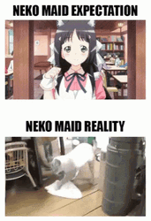 Neko Maid Expectation Vs Reality GIF