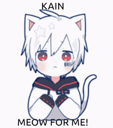 Neko Meow For Me GIF