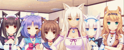 Nekopara All Characters GIF