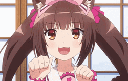 Nekopara Cat Chocola GIF