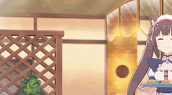 Nekopara Chocola Serving Cakes GIF