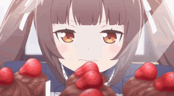 Nekopara Chocola Staring At Cakes GIF