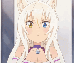 Nekopara Cute Coconut GIF