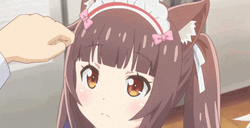 Nekopara Shocked Vanilla And Chocola GIF