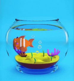 Nemo Aquarium Fish Meme GIF