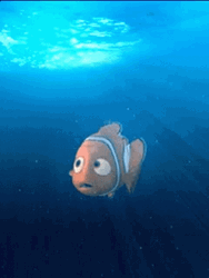 Nemo Fish Swimming Bubbles GIF