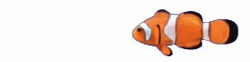 Nemo Keeps Swimming GIF