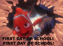 Nemo's Back To School GIF