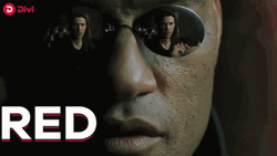 Neo Red Or Blue GIF