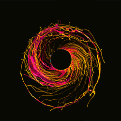 Neon Color Spiral Nest GIF