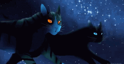 Neon Galaxy Cats GIF