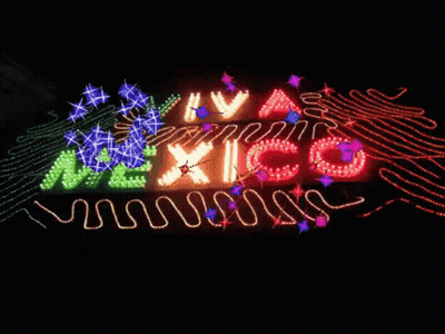 Neon Sign Saying Viva Mexico