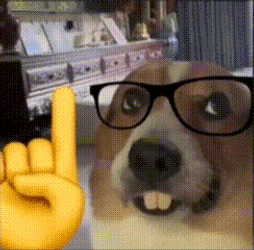 Nerd Emoji Meme Dog GIF