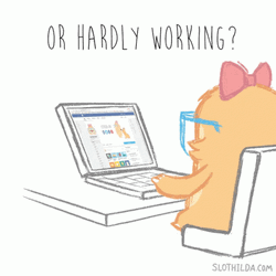 Nerd Slothalida Working Hard GIF