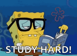 Nerd Spongebob Studying GIF