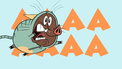 Nervous Pig Flies Screaming In Fear GIF