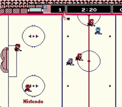 Nes Hockey Video Game