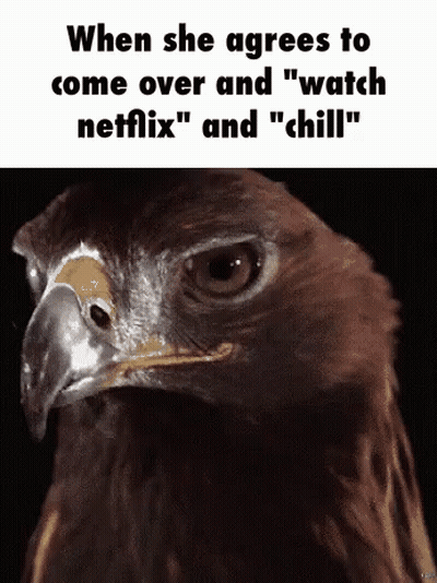 Netflix and Chill GIF